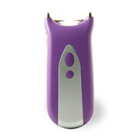 Bright Brightness LED Torch and 6500KV Mini Stun Gun, purple and silver