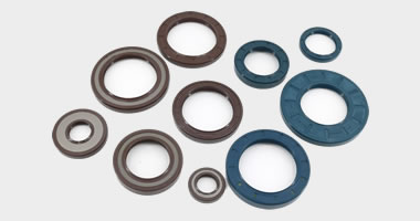 TCV oil seals